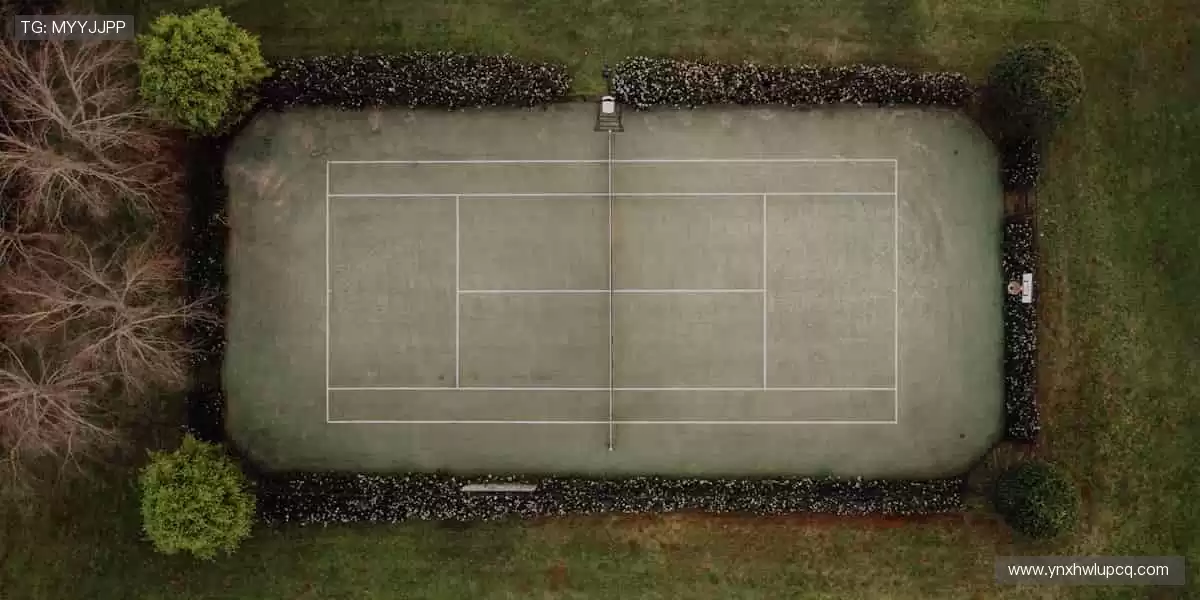 🎯 专业装备,助力突破极限!💪 每一次挥拍,都是精准的胜利!